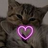 user2834443153257