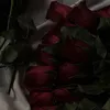 ahana.jafri