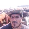 el.pato742