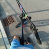 noah_osu98