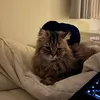 mimiii__321