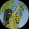 mimsarkar113