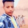negese84859506