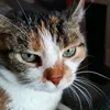 monika.grigat