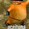 user2681552888883