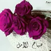 jood.safa52