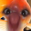 bubbaasfreak