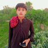 shaziab.khalti12