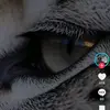 staniklencd