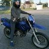 flsz_kornl