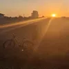 rodowity_kawaler