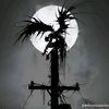 sadx_fall0