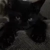 0h0ku7