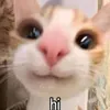 milena_mjal