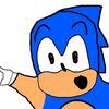 sonicgamer110