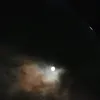 coalqg2