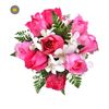 shabeer1619