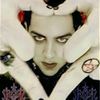 vampirox