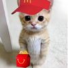 cute_roxxies
