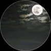 omarzeba04
