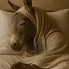 umuabdirahmaan0