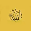mstafa9834