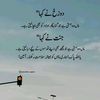 malik.basharat.al09