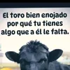 quete3942