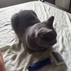 luna.romeo83