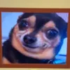 luis_the_best4
