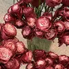 ngoc.kim273