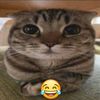bintang_sigma31