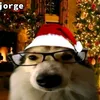 arthur.wz9