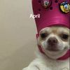 ingridmunoz473