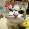 iman_gebussss