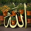 islam.zindabad595