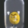 goblyaha.com