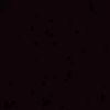 pessi_1222