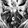 spurgu.6