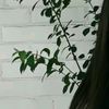 user28170925617623