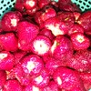 nh.yu82