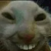 thgbeochinhlamay