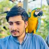 aman.ullah.mahsood