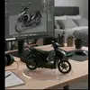 kucing_kawin22