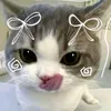 chalant.au1tys