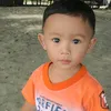 gavz387