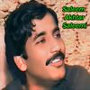 saleemakhtarsaleemi0