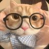 petfunnytime13