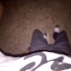 samuelalvarado7528