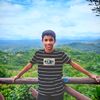 zulfeqarzaim